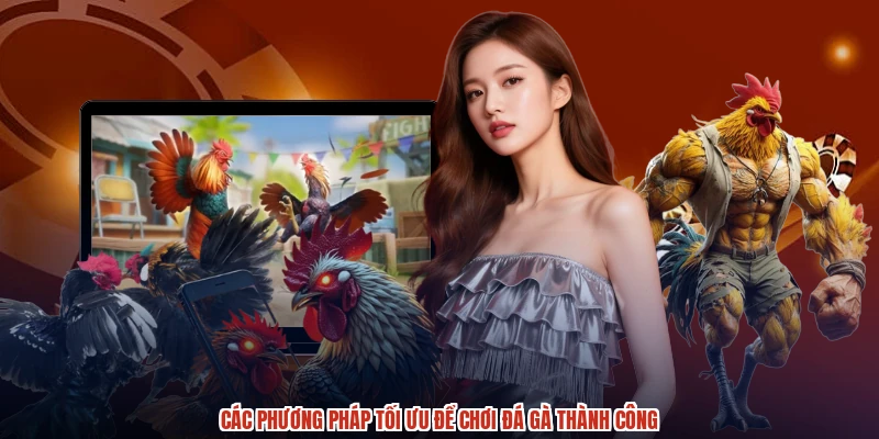 Các phương pháp tối ưu để chơi đá gà thành công Các phương pháp tối ưu để chơi đá gà thành công