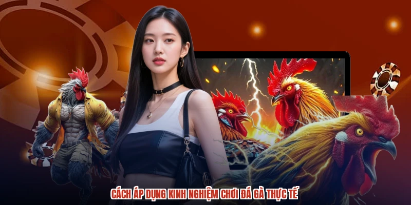 Cách áp dụng kinh nghiệm chơi đá gà thực tế Cách áp dụng kinh nghiệm chơi đá gà thực tế