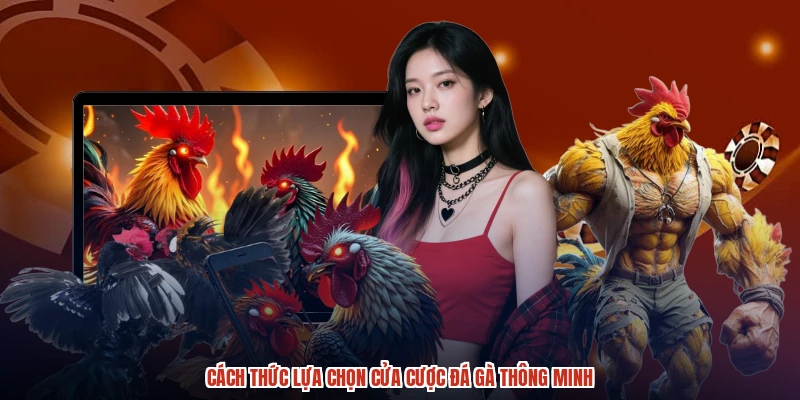 Cách thức lựa chọn cửa cược đá gà thông minh Cách thức lựa chọn cửa cược đá gà thông minh