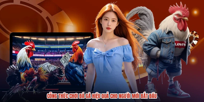 Công Thức Chơi Đá Gà Hiệu Quả Cho Người Mới Bắt Đầu