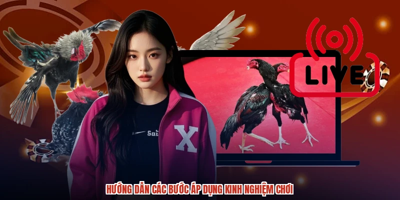 Hướng dẫn các bước áp dụng kinh nghiệm chơi Hướng dẫn các bước áp dụng kinh nghiệm chơi