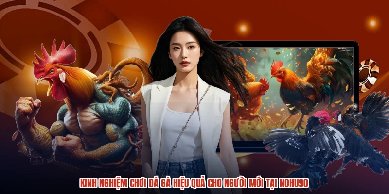Kinh Nghiệm Chơi Đá Gà Hiệu Quả Cho Người Mới Tại NOHU90