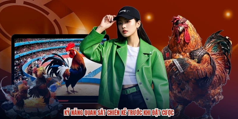 Kỹ năng quan sát chiến kê trước khi đặt cược Kỹ năng quan sát chiến kê trước khi đặt cược