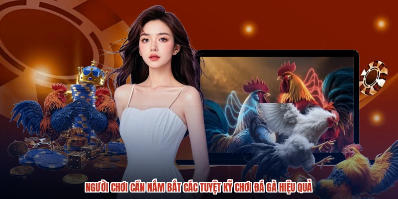 Người chơi cần nắm bắt các tuyệt kỹ chơi đá gà hiệu quả Người chơi cần nắm bắt các tuyệt kỹ chơi đá gà hiệu quả