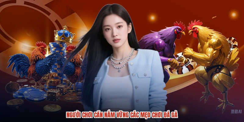 Người chơi cần nắm vững các mẹo chơi đá gà Người chơi cần nắm vững các mẹo chơi đá gà