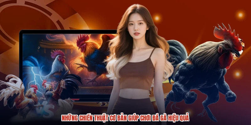 Những chiến thuật cơ bản giúp chơi đá gà hiệu quả Những chiến thuật cơ bản giúp chơi đá gà hiệu quả