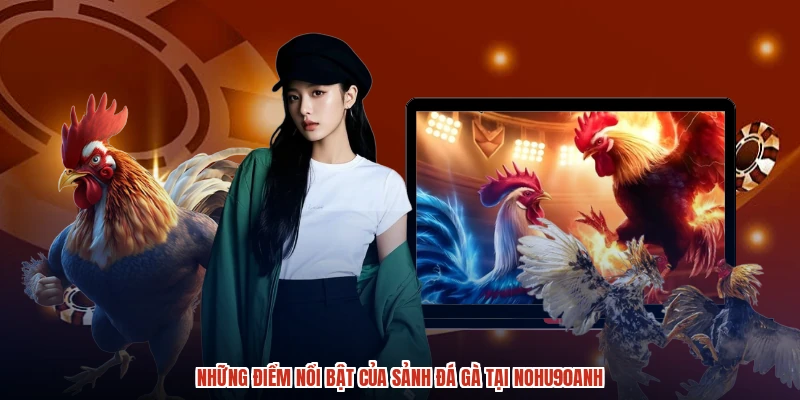 Những điểm nổi bật của sảnh đá gà tại NOHU90anh