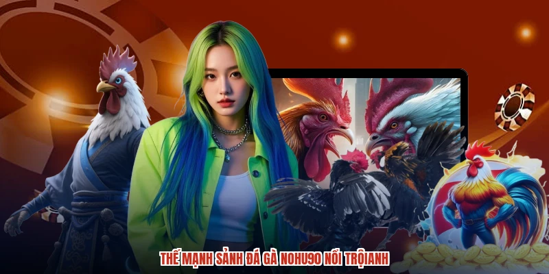 Thế mạnh sảnh đá gà NOHU90 nổi trộianh