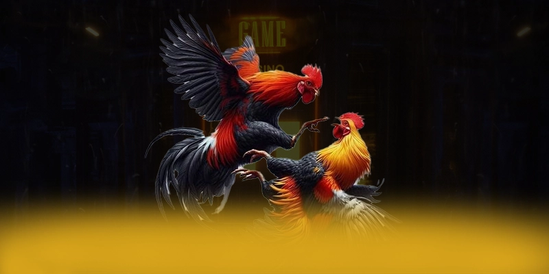 Khuyến mãi khủng dành cho tất cả người chơi tại 8XBET Khuyến mãi khủng dành cho tất cả người chơi tại 8XBET